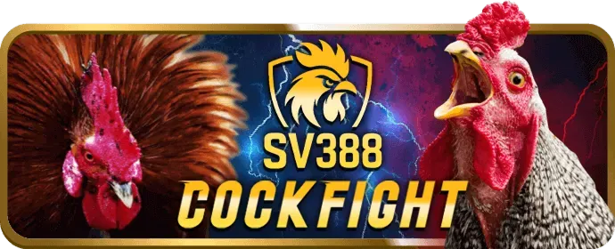 Cập nhật cá cược thể thao bong789 win